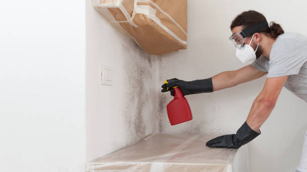 Professional Commercial Mold Remediation technician working in Canton, MA