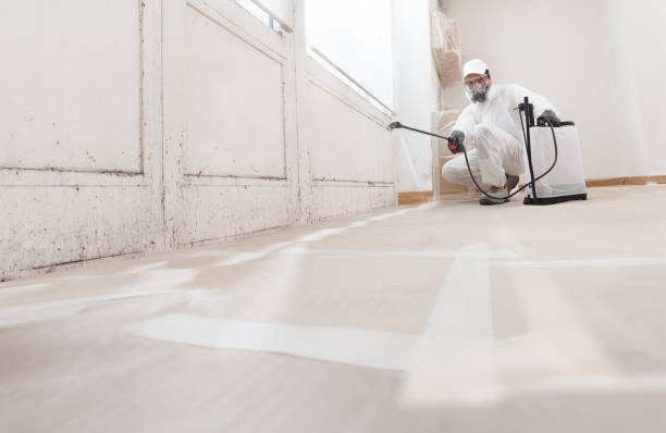 24/7 Emergency Commercial Mold Remediation experts in Canton, MA